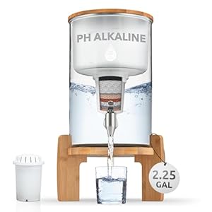 pH Recharge Glass Alkaline Countert...