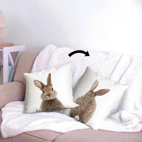 huester Bunny Pillow Covers Easter Throw Pillows Cover Bunny Pillow Covers 18X18 Reversible Decorative Pillowcase Cushion Cover for Sofa BedFarmhouse Kids Room DecorGift for Rabbit Lovers Kids