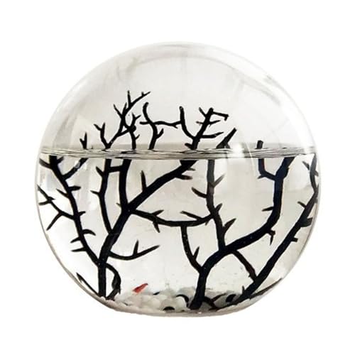 Ecosystem- Closed Ecosystem Small Round Sphere 4 with 2-3 Shrimp