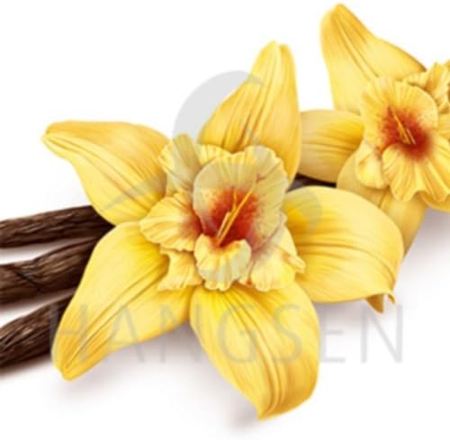 Smokers Corner offer 30 ML Genuine Hangsen E-Liquid Vanilla 0mg