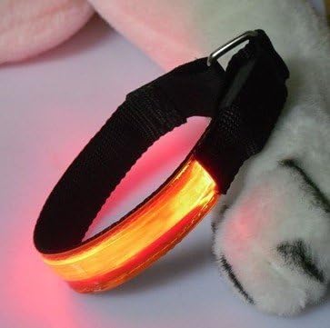 orange LED arm band/Pet Neck band