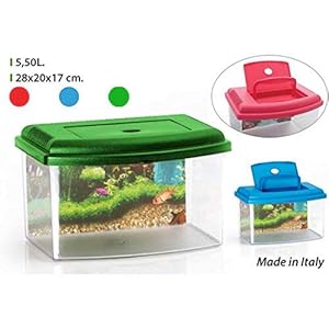 Georplast – Acuario con tapa 5.5 litros, colores surtidos, 1 unidad