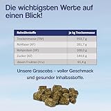 Gebrüder Goller 25kg Grascobs als Pferdefutter - Staubfreier Heuersatz mit natürlichen Inhaltsstoffen & hohem Rohfaseranteil - Futterpellets schonend Warmluftgetrocknet - direkt aus Bayern