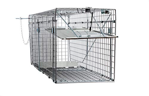 Animal Trap (32"X10"X12") - Best Humane Animal Trap For Gophers, Racoons, Possums, Groundhogs, Beavers And Other Similar Sized Animals. Easy Trap Catch & Release Cage With 1-Door By Lifesupplyusa #TOP12