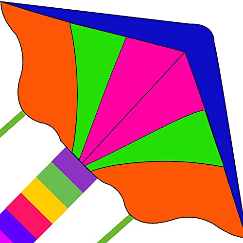 Large Delta Flying Kite, suitable for children and adults huge rainbow kite, easy to fly, assemble and disassemble under low wind speed, the best outdoor children's toy, Kid Adult Flying A Beach Kite.