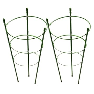 Trellis for Cherry Tomatoes: Which One Will Transform Your Garden? 1 trellis for cherry tomatoes