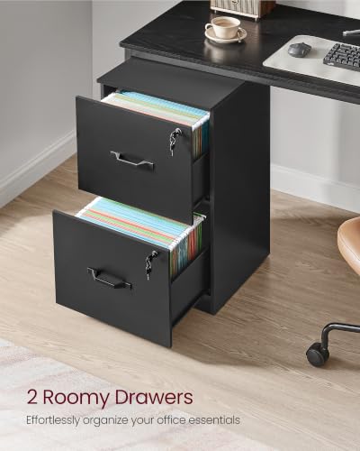 Image of VASAGLE 2 Drawer File Cabinet with Locks, for A4, Letter Sized Documents