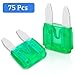 75 Pcs 30Amp Mini Fuse, 30 A Mini Car Blade Automotive Fuses for Car RV Truck SUV Motorcycle Boat
