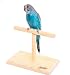 QBLEEV Portable Parrot Training Perches Birdcage Decor Weight Scale Stand, Parakeets Playground Window T Perch Fits for Concures Cockatiel Finch Love Birds 7.8" L4.7 W5.3 H