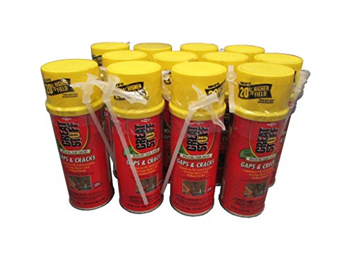 foam in a can - Gaps & Cracks Minimal Expanding Foam Sealant, 12-oz ( Pack of 12 )