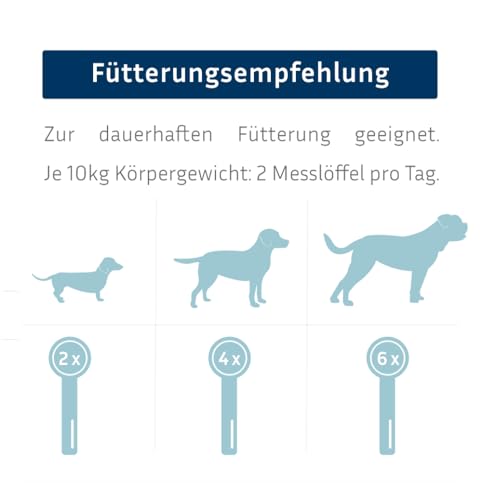 PetFokus Vital Formel Plus | unterstützt Verdauung, strahlendes Fell, Energie & Vitalität | Futterergänzung für Hunde | Vitamine, Mineral- & Pflanzenstoffe I Probiotika & Omega-3 | leckerer Geschmack
