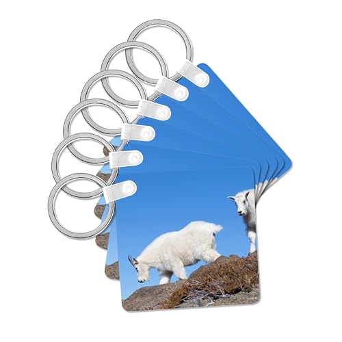 3dRose, Washington State, Alpine Lakes Wilderness, Mountain goats, Nanny, Kid, set of 2 Key Chains