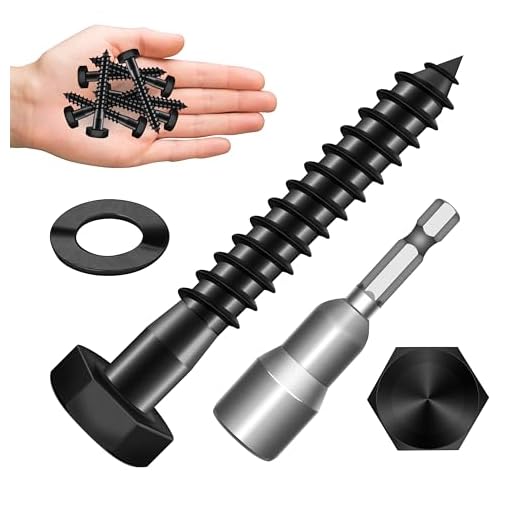 Stainless Steel 20-Set Lag Bolt Kit