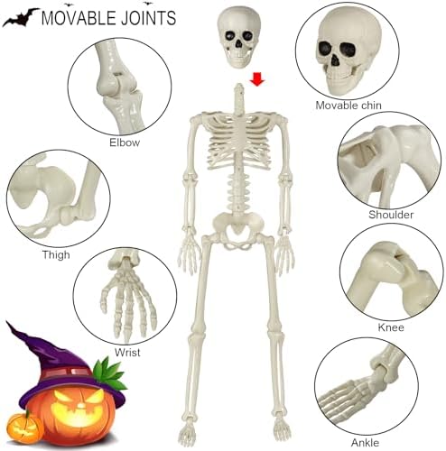 41rJo1zCNpL._AC_ SUNREEK Halloween Skeleton Decorations 3ft Life Size Human Skeleton with Moving Joints Scary Halloween Plastic Skeleton for Halloween Graveyard Haunted House Outdoor Decoration