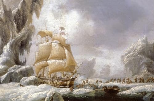 Toile le Navire de Dumont D'urville pour créer une ambiance cabinet de curiosités chez soi