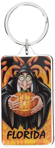 Preisvergleich Produktbild Disney Villains Florida Wicked Witch Lucite Schlüsselanhänger