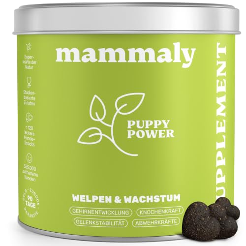 mammaly Puppy Power® Welpen-Komplex mit Grünlippmuschel (bis 60 Tage) – Ansicht 1