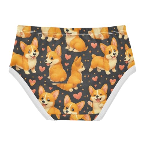 Joisal Cute Corgi Dogs Playful Poses Panties for Girl Toddler Underwear Floral Cotton Durable Kids Undies Briefs 2t2