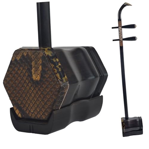 Beginner Erhu Ebony Bone Carved Erhu With A Full Set Of Accessories Suzhou Craft Ebony Erhu