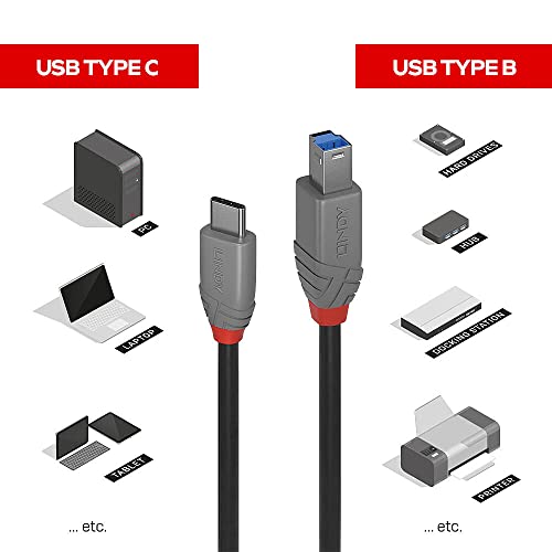 LINDY 1m USB 3.1 Cable, USB-C Male to USB-B 3.0 Male Type B, for MacBook Pro/Air, External Hard Drive, Scanner, Printer - Image 3