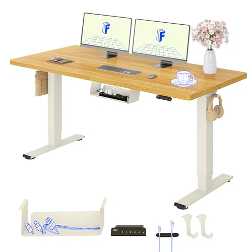 Flexispot Electric standing desk