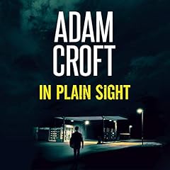 In Plain Sight Titelbild