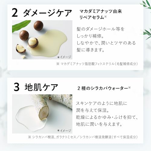 Amazon.co.jp: ボタニスト公式ショップ: セット