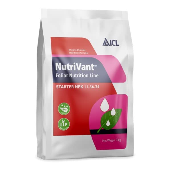 Nutrivant Icl Starter Npk 11 36 24 / Icl Foliar Nutrition Line Nutrivant Starter Npk 11-36-24, Powder (B09MJ8K9V1) Amazon Price History, Amazon Price Tracker