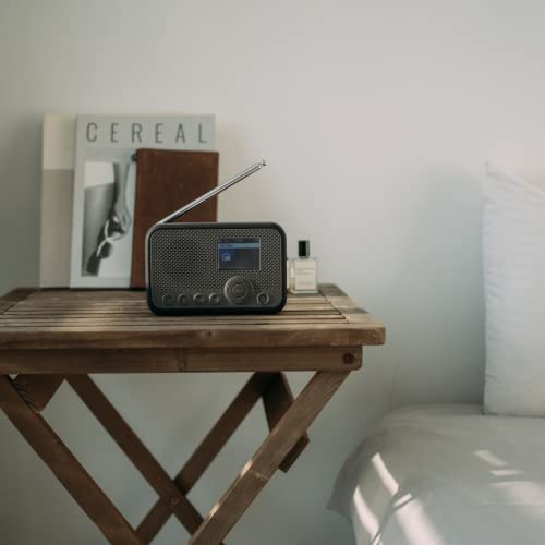 Sangean Wfr-39 Fm-Rbds/Internet Radio With Spotify Connect, Airmusic Control Rechargeable Portable Digital Radio #TOP4