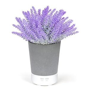 Essential Oil Diffusers, Aromatherapy Diffuser, Lavender Potted Plant Oil Diffuser, Ultrasonic Cold Mist humidifier for Home, Office, Bedroom, Super Quiet with Waterless Auto Shut-Off, 150ml