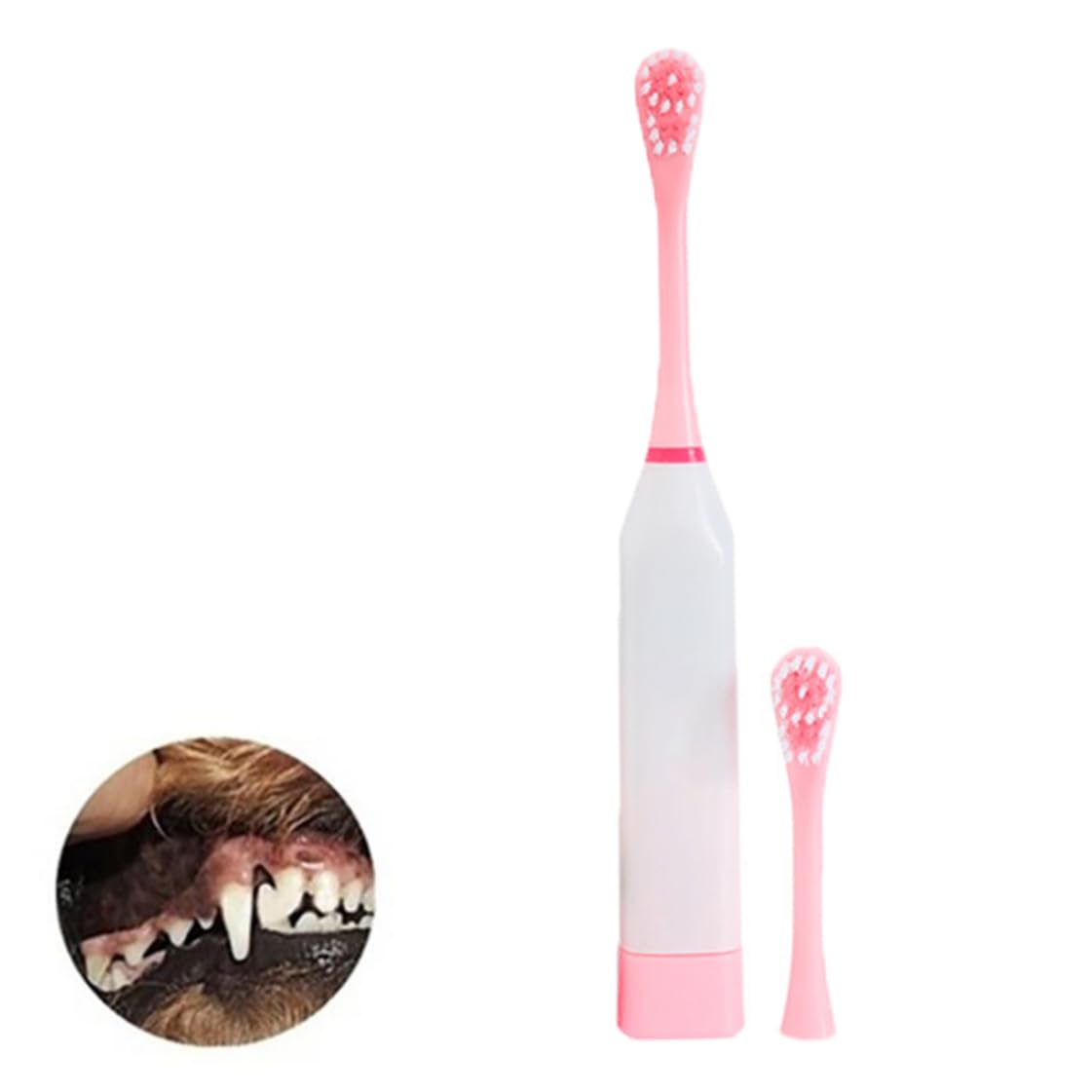 Brosse à dents électrique professionnelle for chien, technologie ultrasonique, brosse à dents for animaux de compagnie, ajout de tartre de mauvaise haleine for chiens et chats de petite, moyenne et gr