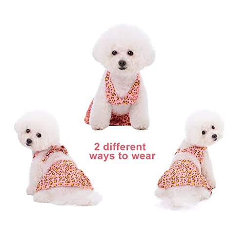 Image of Dog Bikini Swimsuit Summer Doggie Bathing Dress Leopard Rainbow Cat Skirt Beach Outfit for Puppy Dog Cat (XS, Leopard)