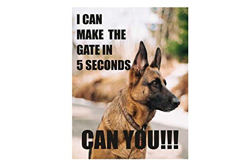 German shepherd I can make the gate in 5 seconds can you retro shabby chic vintage style picture metal wall plaque sign (200mm x 150mm)