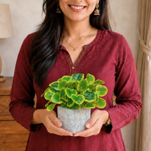 Image of fancymart Artificial Plant with Real-Touch Leaves in Pot, 25 cm, Indoor Tabletop Item for Home Decor, Office, Living Room