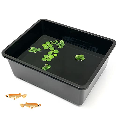 ijؐ쏊 p^^C tbg  ܂Rt {Bl