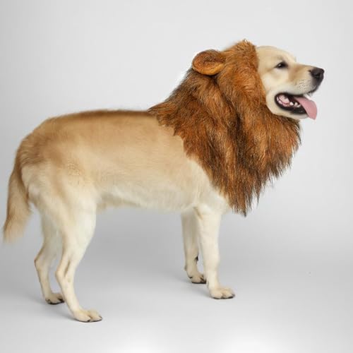 Disfraz León para Perros Grandes con Orejas y Cola miniatura 3