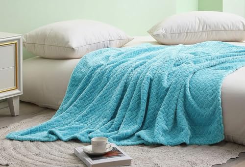 Image of BSB Home Premium Plush Single Blanket | 300 GSM Lightweight Cozy Ultrasoft for Bed, Sofa, Travel & Camping| 228x152 cm |Aqua Blue| TC - 220, Polyester