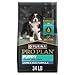 Purina Pro Plan Dry Puppy Food, FOCUS Lamb & Rice Formula - 34 lb. Bag