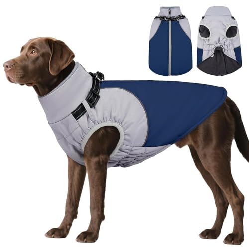 Manteau harnais intégré pour chien Labrador gilet d'hiver orange taille L