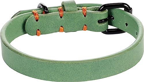 Flamingo Dog Collar Leano Green XS/S 24-30cm 15mm