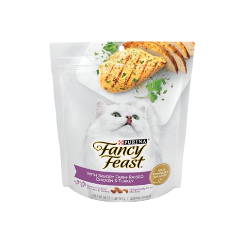Fancy Feast Purina with Savory Chicken & Turkey Dry Cat Food, 16 OZ - image 1