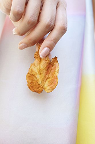 Sony Alpha Sal35F18 35Mm F/1.8 A-Mount Wide Angle Lens (Black) #TOP6