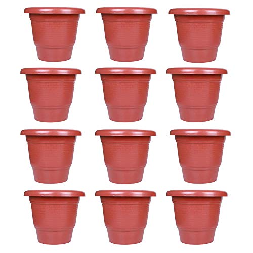 Maanit 10 inch Brick Gamla Planter Modern Pound Decorative Gardening Pot Plants for Garden Balcony Flowering Pot (Pack of 12) Maanit 10 inch Brick Gamla Planter Modern Pound Decorative Gardening Pot Plants for Garden Balcony Flowering Pot (Pack of 12)