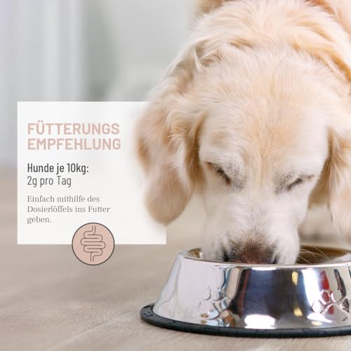 ReaVET Darm Prebiotic für Hunde 150g - Präbiotikum zur Unterstützung der Darmflora & Verdauung - Natürliche Darmkur bei sensibler Verdauung, Hund Darmflora aufbauen, Darmsanierung für alle Hunderassen