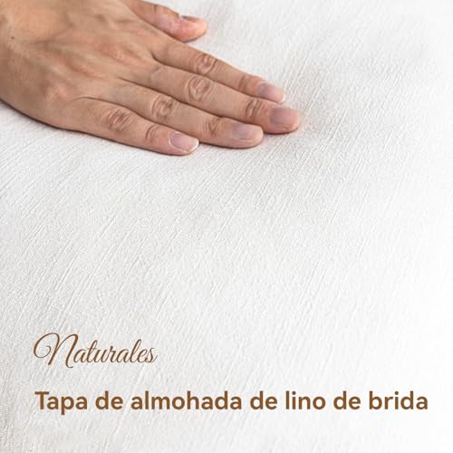 La mejor comparación de Cojin blanco . 9 Imagen adicional