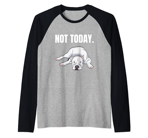 Sturer Dogo Argentino design graphique amusant pour Manche Raglan