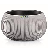 botle Macetero de imitación de hormigón con diseño ondulado + maceta interior/37 x 22 cm efecto hormigón/hormigón, incluye estante para interior y exterior
