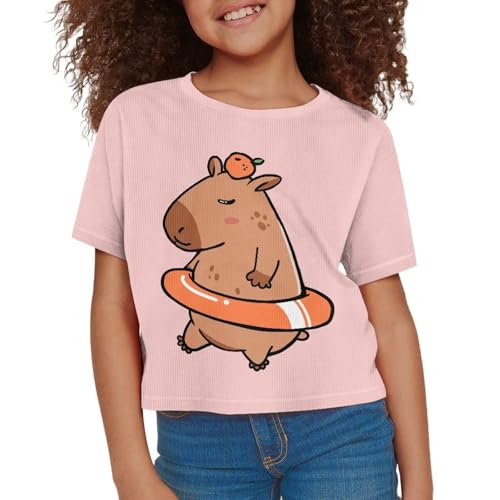 Image of Girls Crop Tees Crew Neck Casual Short Sleeve T Shirts Kids Loose Soft Comfortable Tees Blouses Shirt for Little Girl