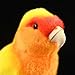 Whrigud Realistic Yellow Peach Peony Parrot Plush, Kawaii Parrot Stuffed Animal, Soft Little Bird Stuffed Animal Pillows Home Decor 5.5''