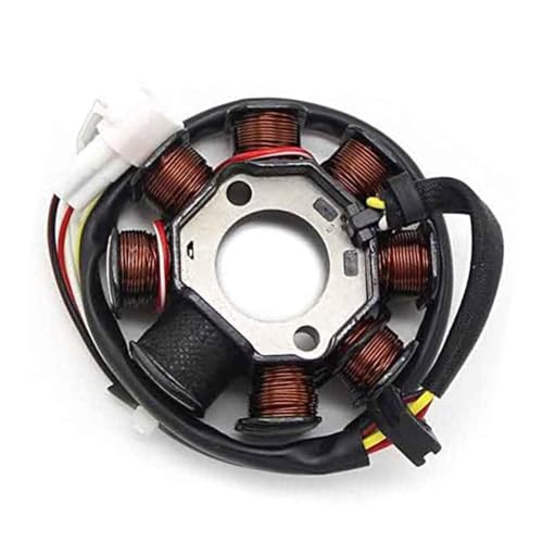Stator pour 300EXC Six Days pièce allumage fiable pour franchissement et sorties en forêt